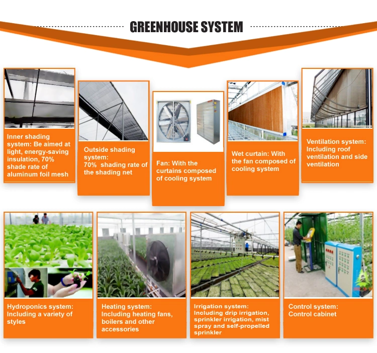 Commercial Steel Frame/ Aluminum Profile Glass Greenhouse for Fruit