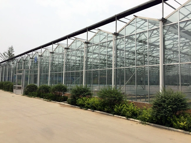Commercial Steel Frame/Aluminum Profile Glass Greenhouse for Flower