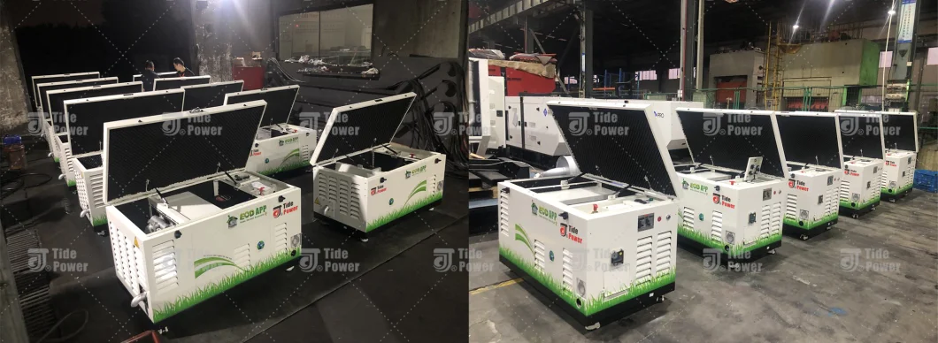 Home Backup Lp Gas Generator Set, Home Standby Lp Gas Generator, Residential Lp Gas Generator Set, Propane Gas Generator, Lp Gas Generator 20kw