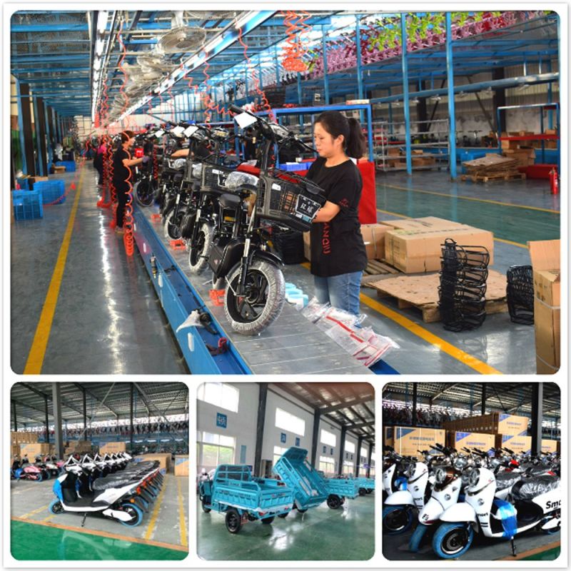 Al-Kll China Hot Sale Electric Motorcycle with High Speed