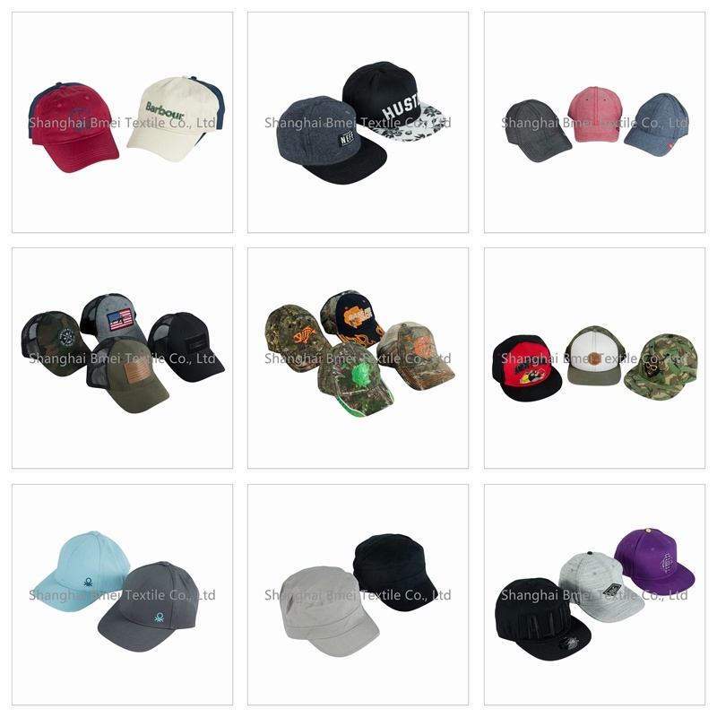 Custom Quality 3D Embroidery Baseball Cap Trucker Hat/Caps