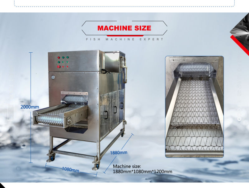 Automatic Fish Cleaner/Fish Cleaning Machine/Fish Descaler with CE