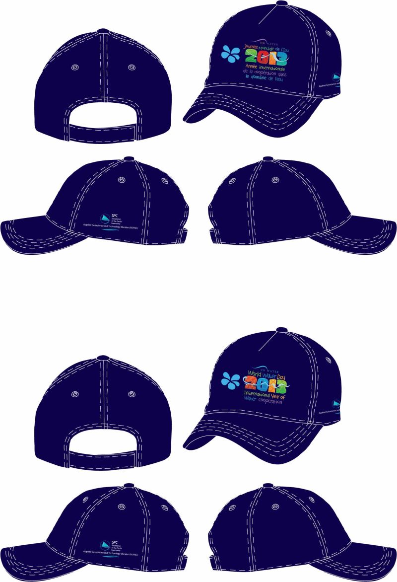 Baseball Cap, Promotional Hat, Embroidered Baseball Caps, Travel Sport Caps