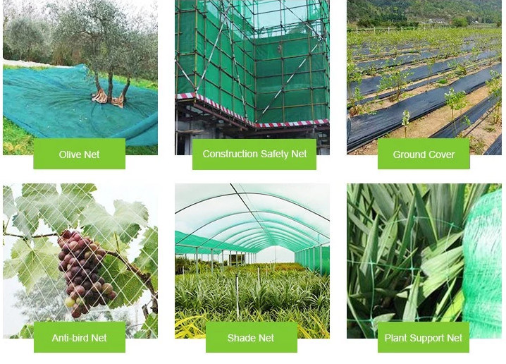 Black Net, Shade Net, Raschel Shade Net with UV, Plastic Net for Agriculture or Hoticulture