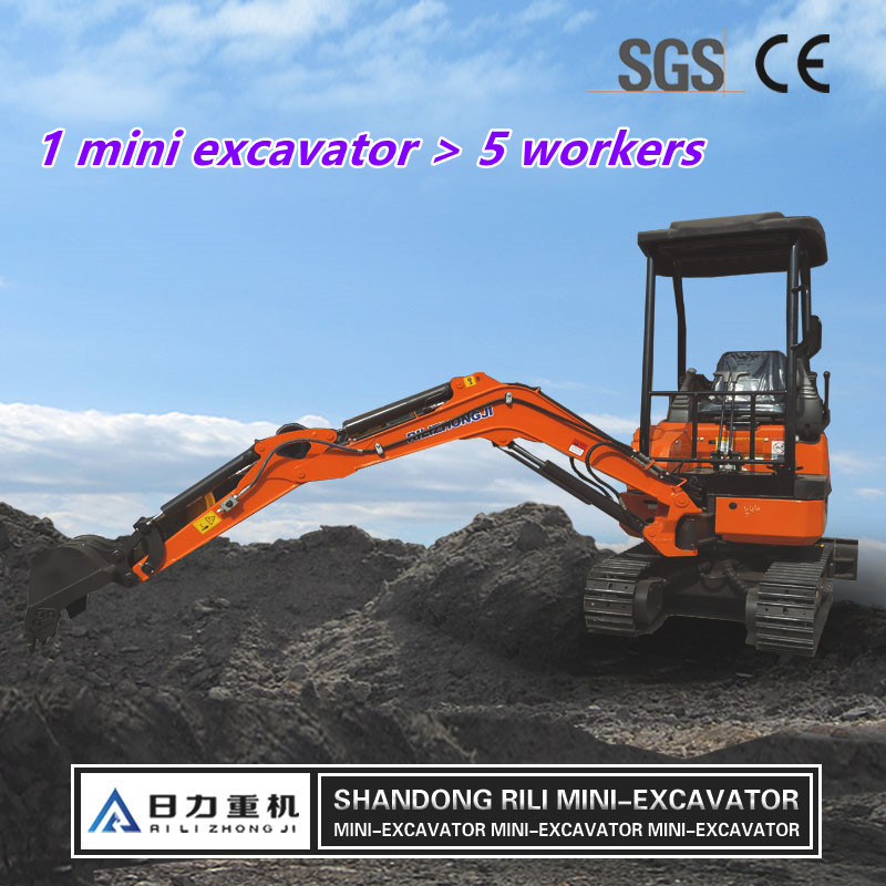 China Factory Small Crawler Excavator Small Digger with Hydraulic Rake