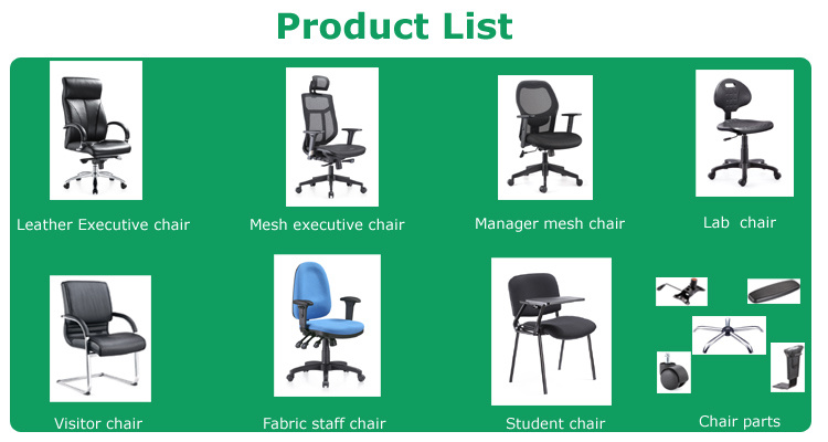 Best Adjustable Lumbar Support Ergonomic Mesh Office Chair with Headrest