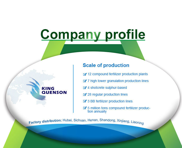 Water Soluble Compound Fertilizer Manufacturer 46% 15-05-26+Te