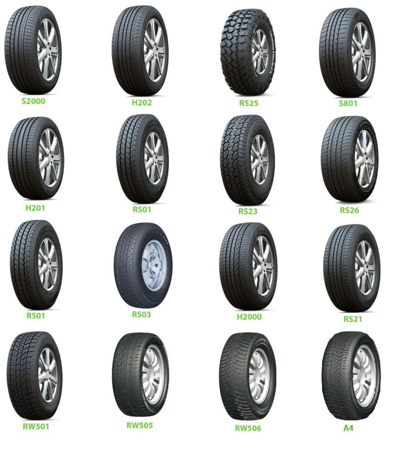 Chinese Everich Brand High Quality Car Tire Winter Snow Car Tire PCR Snow Tyre
