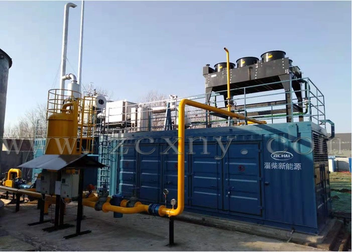 Collaboration with Zichai Engine Biogas Generator Set Landfill Generator Biogas Generator