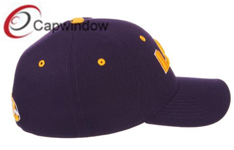 Fitted Baseball Cap with 3D Embroidery and Elastic Hat