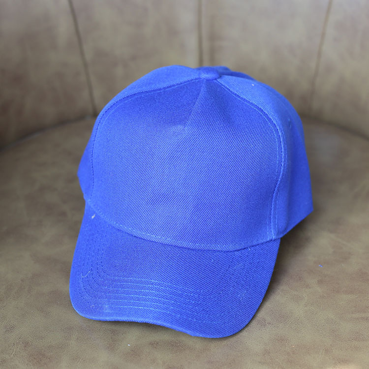 Custom Cap Sport/Fashion/Leisure/Promotional/Knitted/Cotton/Baseball Hat