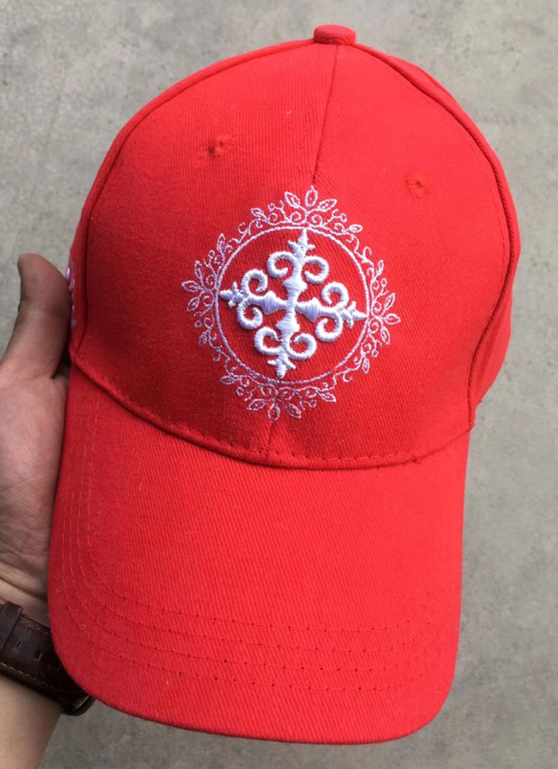 OEM 3D Embroidered Logo Cotton Fashion Trucker Baseball Cap Hat