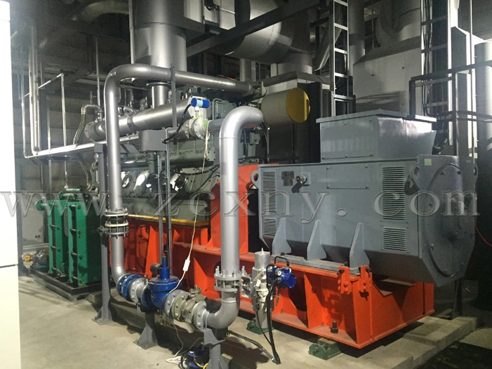 Agriculture Straw Husk Waste Gasification 20kw-500kw Biomass Power Plant