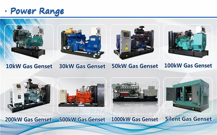 3 Phase Generac 80kw Silent Natural Gas Generator Price