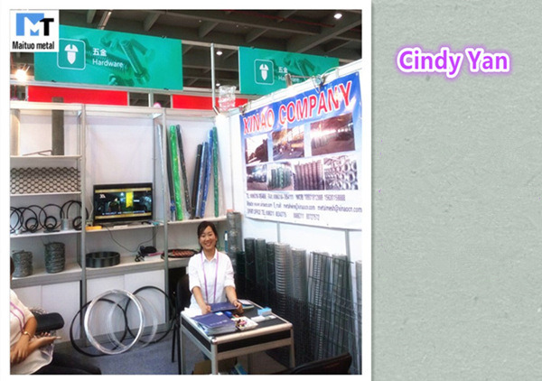 Expanded/Perforated/Woven Decorative Metal Mesh Screen