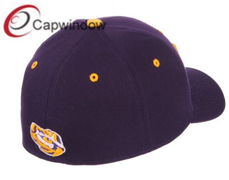 Fitted Baseball Cap with 3D Embroidery and Elastic Hat