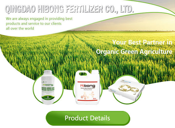 Seahibong Best Selling NPK 20-20-20 Te Fertilizer