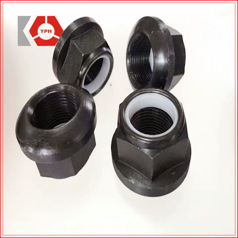 High Quality Special Nuts with Black Plain