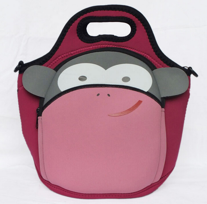 Fashionable Kids Insulated Lunch Bag, Lunch Bags for School Kids