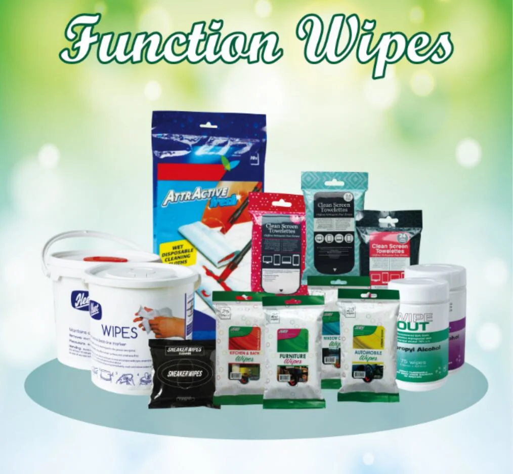 Auto Car 60PCS Cleaning Wet Wipes for Leather