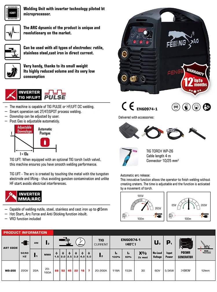 Ws-200 DC Inverter Pulse/TIG/MMA Welder IGBT Welding Machine