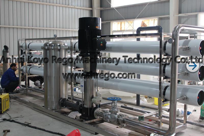 1000lph Water Reverse Osimosis System/Water Treatment Equipment/Water Treatment Plant