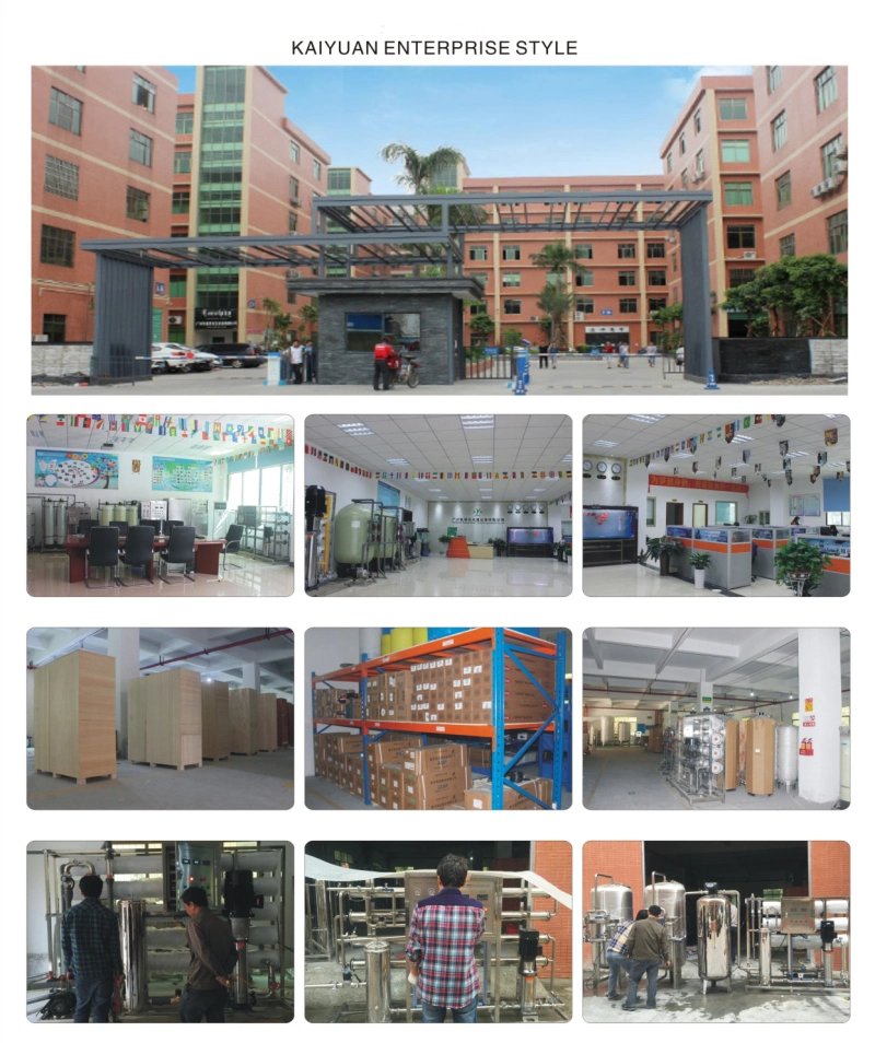 20tph Big Capacity Water Treatment Machine Manufacturer/RO Water Treatment for Drinking Water