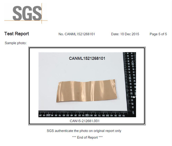 RoHS Approved CZ101 C220 Golden Brass Strip