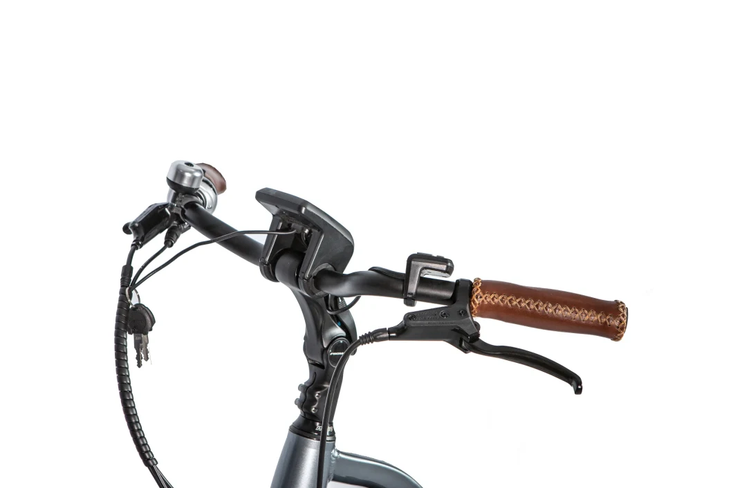 Greenpedel 250W Long Tail Geared Wheel Hub Motor City Electric Adult Bike