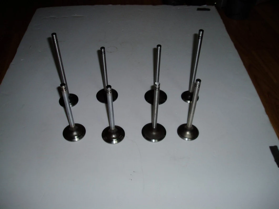 China Car Parts Intake and Exhaust Engine Valves 6114-41-4210 6127-41-4113 6127-41-4212