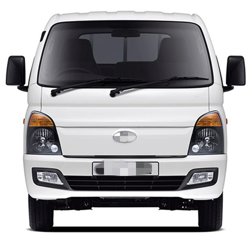 Front Bumper Lip for 2011+ Hyundai H100