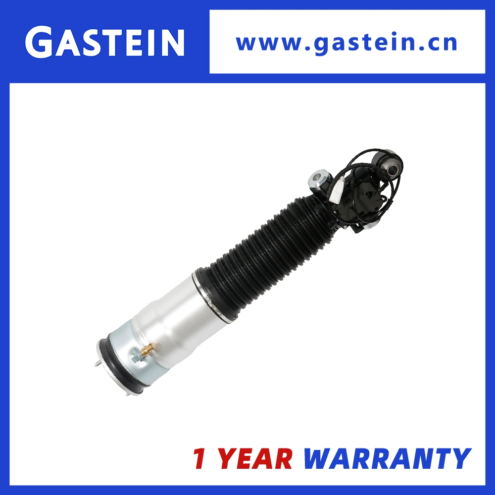 BMW Hotselling Car Shock Absorber F02 Air Suspension Spring