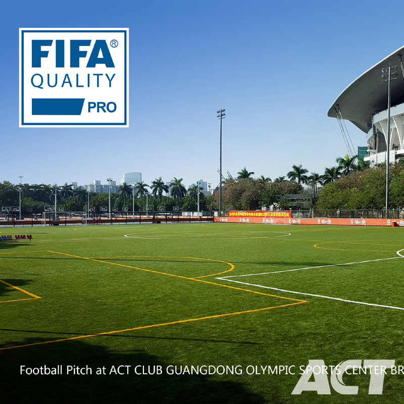 Olympic Games Artificial Grass for Sports Soccer Turf