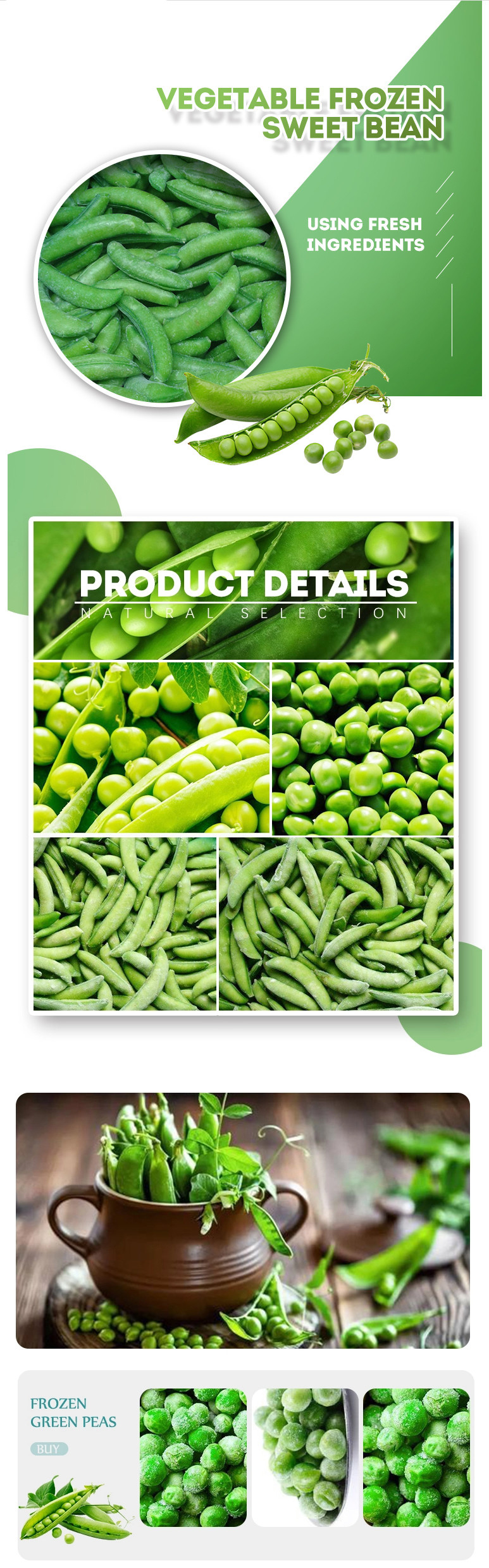 Frozen Green Peas Frozen Green Hot Selling Wholesale IQF Frozen Green Peas