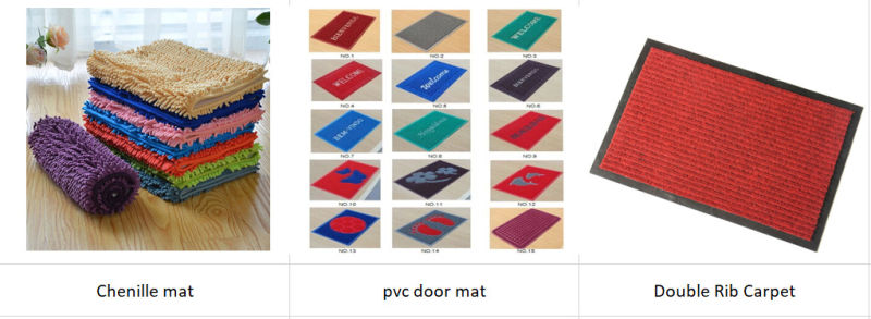 Indoor Outdoor Entrance Rug Floor Mats Shoe Scraper Doormat Door Mat