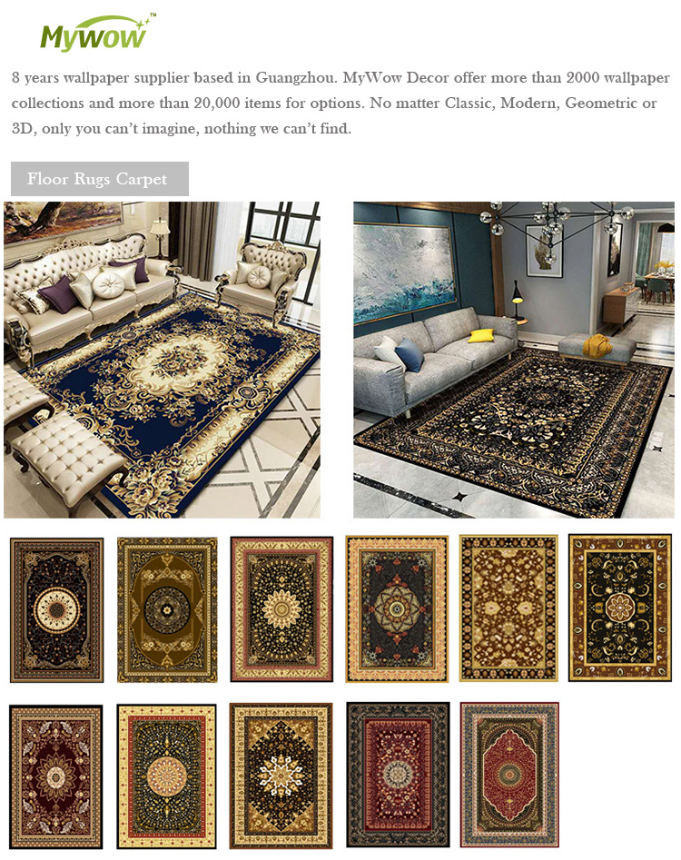 Carpet Rugs Shaggy Carpets for Living Room
