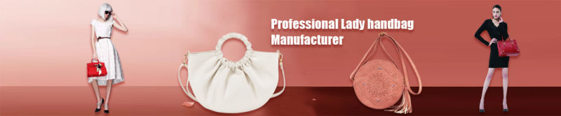 Wholesale Fashion Large Space Leather Custom White PU Ladies' Handbag (ZX10097)