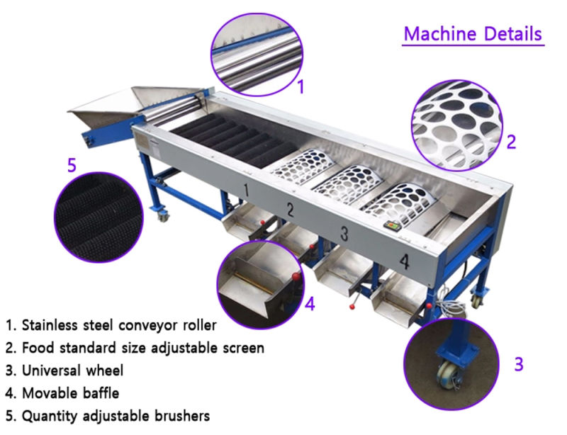 Industrial Commercial Vegetable and Fruit Dicing Selecting Sorting Line Dicer Machine