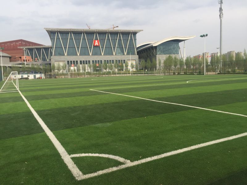 Artificial Grass Carpets for Football Artificial Turf