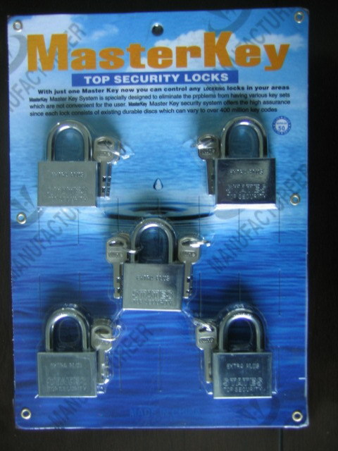 Steel Padlock with Master Key Lock (AL-40, AL-50)