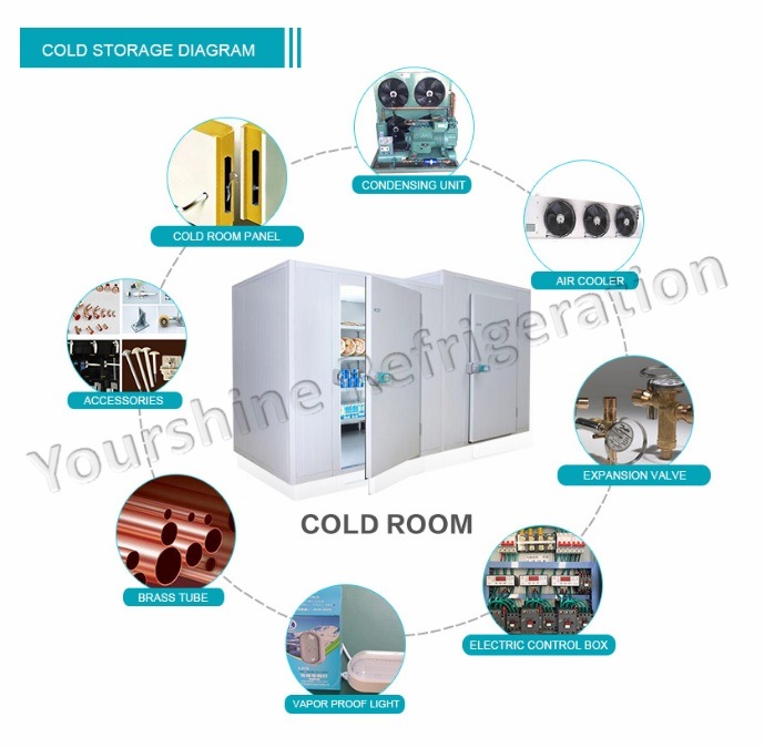 Modular Freezer Cold Storage Cold Room for Hotel