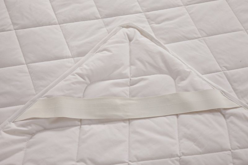 Snow Silk Comfortable Silk Mattress Pad Oeko-Tex 100% Top Silk Filled High Quality Silk Pad on The Mattress