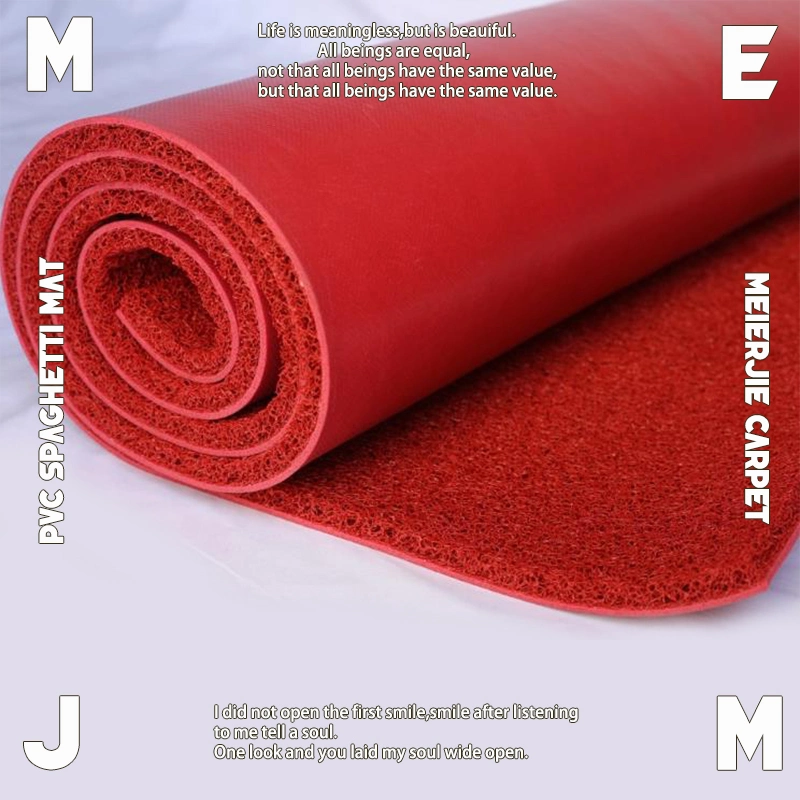 PVC Foam Waterproof Roll Mat PVC Door Carpet