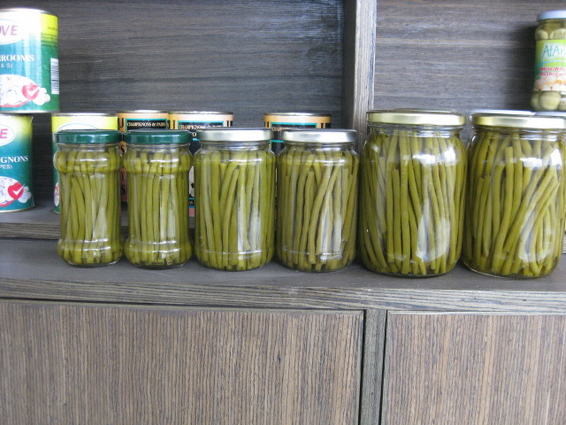 Fresh Cut Green Beans Canned Green Beans