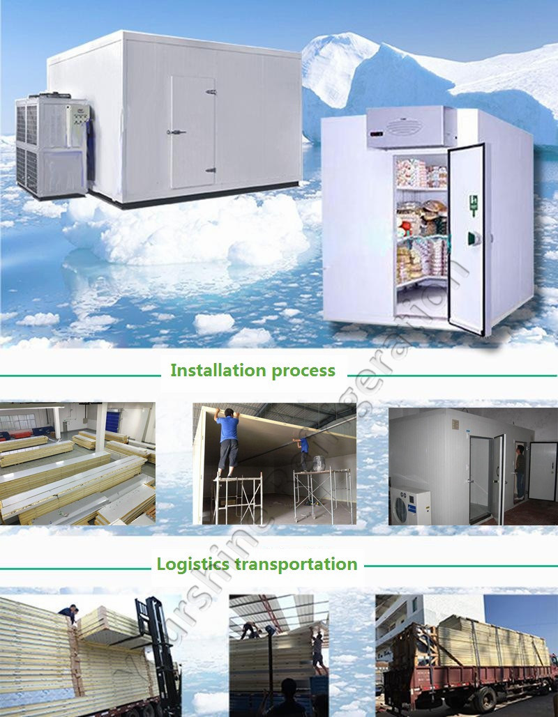 Modular Freezer Cold Storage Cold Room for Hotel