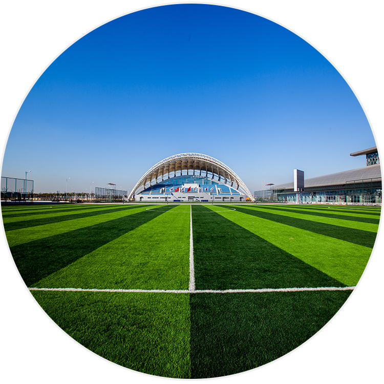 Carpets Soccor Synthetic Turf Artificial Grass for Football