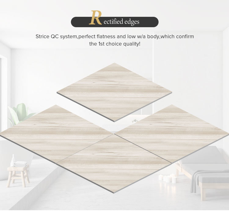 600*600 Porcelain Tile Mat Tile Glazed Tile Floor Tile Wall Tile