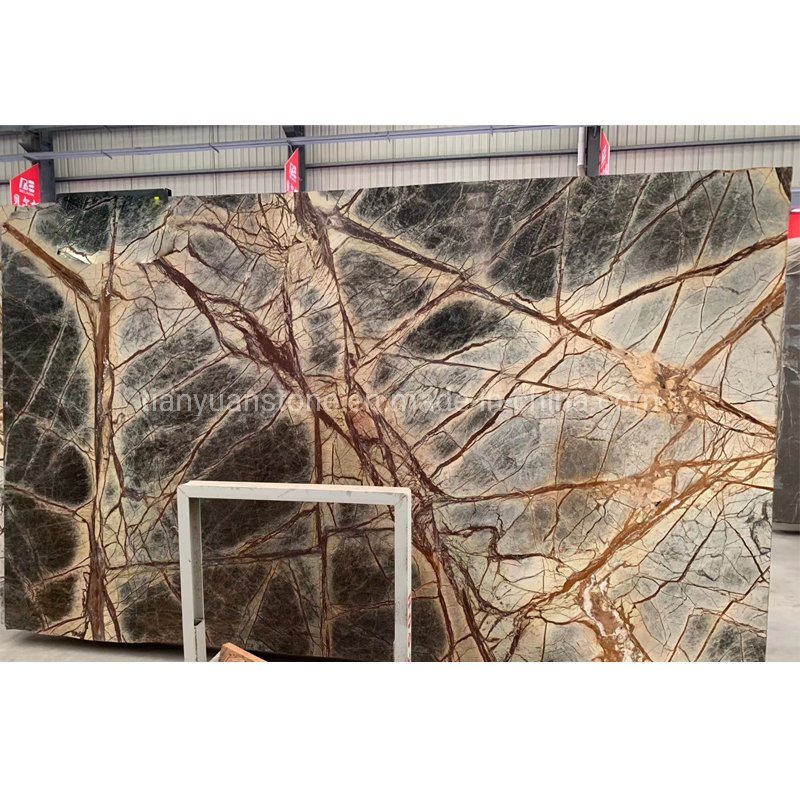 Polished Tropical Rainforest Brown Marble for Floor Wall Tiles, Countertops