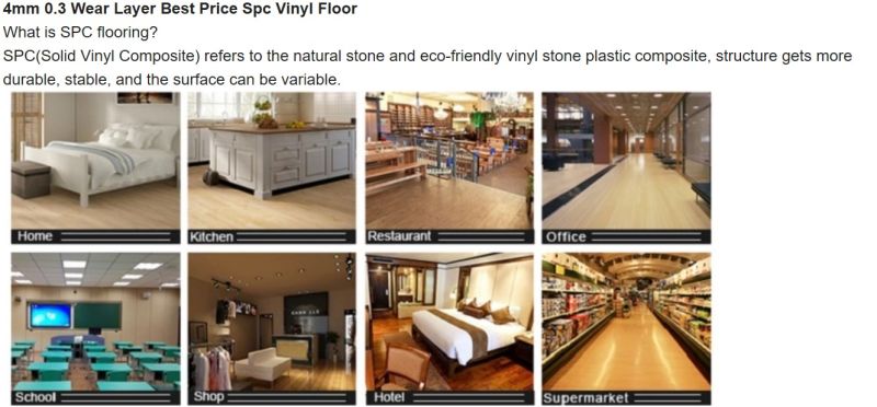 Stone Plastic Composite Spc Floor Luxury Vinyl Planks Lvp Floor Luxury Vinyl Tile Lvt Floor