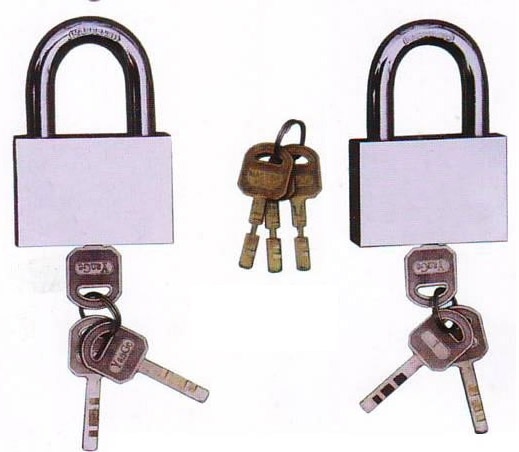 Steel Padlock with Master Key Lock (AL-40, AL-50)